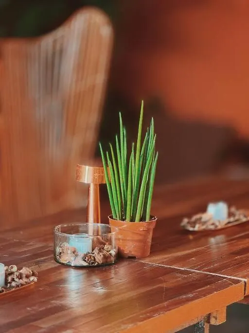 Διαμέρισμα Bay Garden: Tropical Pool Villay Μανίλα